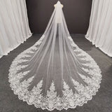 Long Beautiful Lace Bridal Veil with Comb 3.5 Meters 1 Layer Cathedral