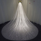 Sparkly White / Champagne Cathedral Veil Sequined With Comb 3X3.5Meters