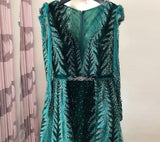 Sexy V Neck Long sleeve Dress- Heavily Beaded