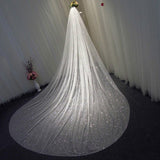 Sparkly White / Champagne Cathedral Veil Sequined With Comb 3X3.5Meters