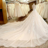 Deep V-Neck Lace Wedding Gown