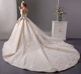 Luxury shinny lace ball gown wedding dress with long sleeves