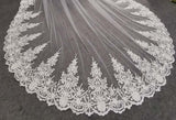 Long Beautiful Lace Bridal Veil with Comb 3.5 Meters 1 Layer Cathedral