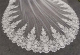 Long Beautiful Lace Bridal Veil with Comb 3.5 Meters 1 Layer Cathedral