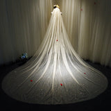 Sparkly White / Champagne Cathedral Veil Sequined With Comb 3X3.5Meters