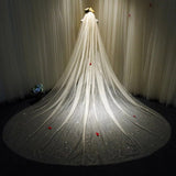 Sparkly White / Champagne Cathedral Veil Sequined With Comb 3X3.5Meters
