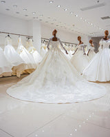 Luxury Princess long sleeve Glitter and Lace fully Beaded Ball Gown