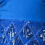 Long Sleeve Chiffon Curvy Plus Size Elegant V Neck Evening Dress