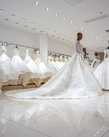 Luxury Princess long sleeve Glitter and Lace fully Beaded Ball Gown