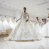 Luxury Princess long sleeve Glitter and Lace fully Beaded Ball Gown