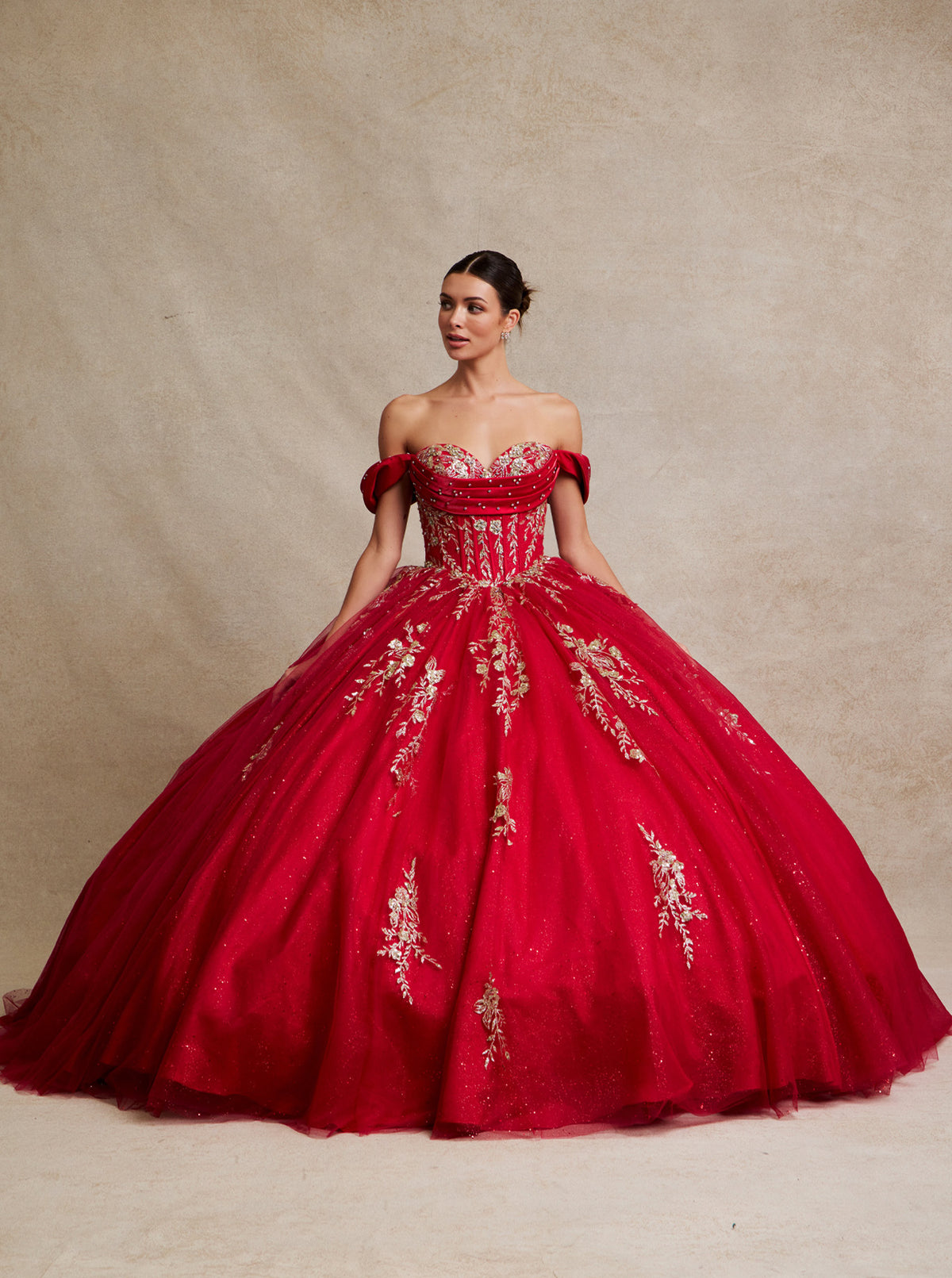 Luxury Quinceanera & BallGowns  Sandra's Bridal Collection