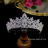 Crystal Wedding Crown -Tiare- plant