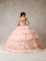 Off-the-Shoulder Layered Tulle Quinceañera Ball Gown with Embroidery & Hot Fix Details – Style SIEWF11448