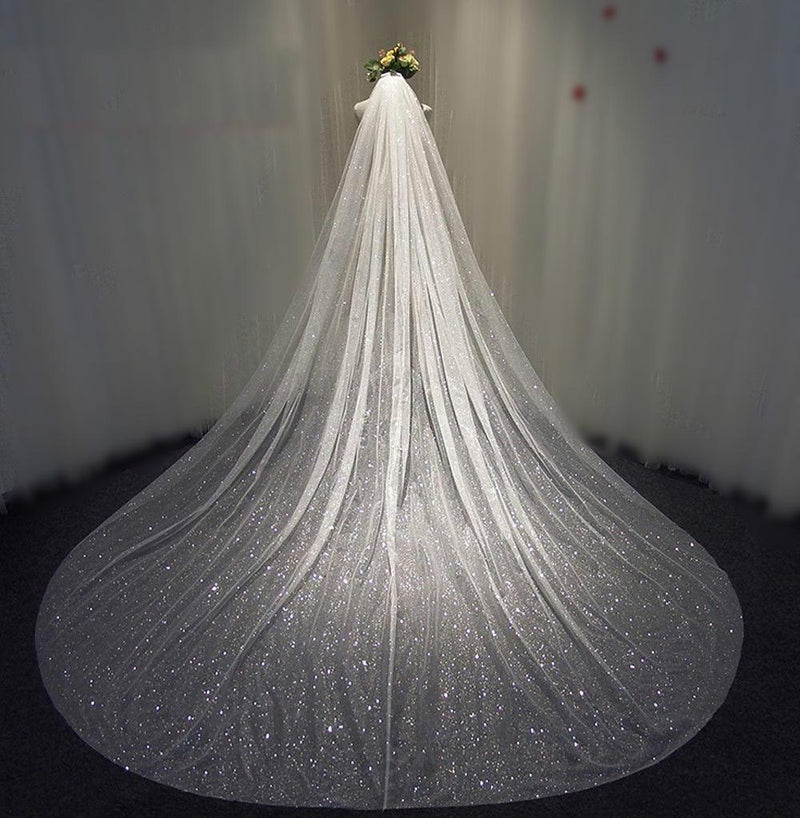 Sparkly White / Champagne Cathedral Veil Sequined With Comb 3X3.5Meters