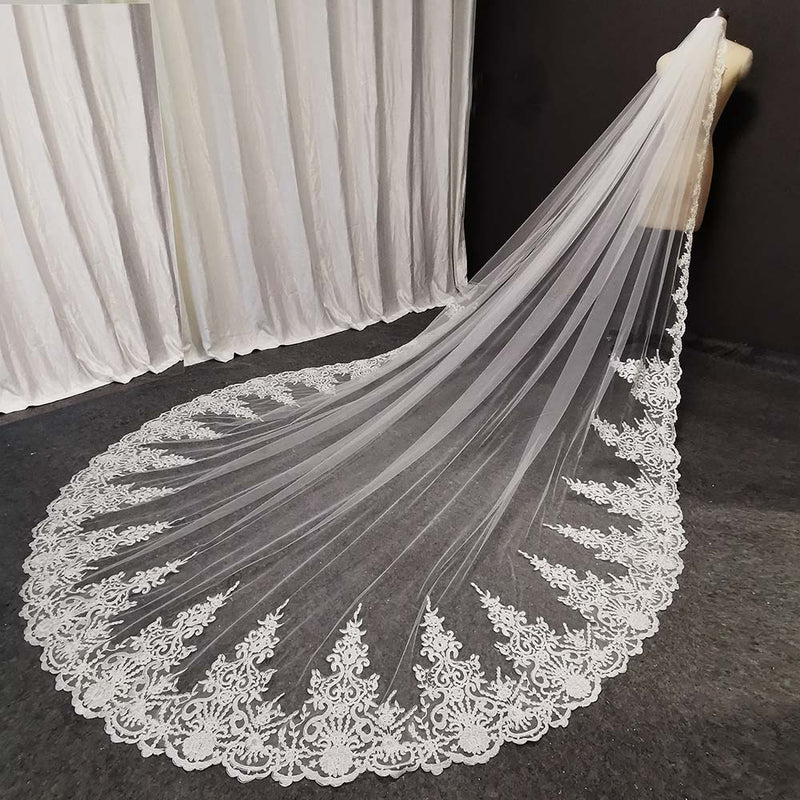 Long Beautiful Lace Bridal Veil with Comb 3.5 Meters 1 Layer Cathedral