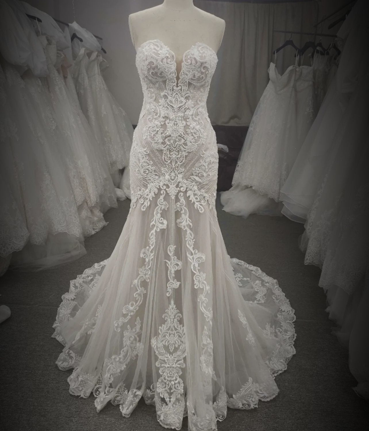 chinese dress ladies Beautiful Elegant French Lace Mermaid Wedding Dress Ivory/Ivory / 16-24