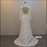 Elegant Long Sleeve V neck Wedding Dress